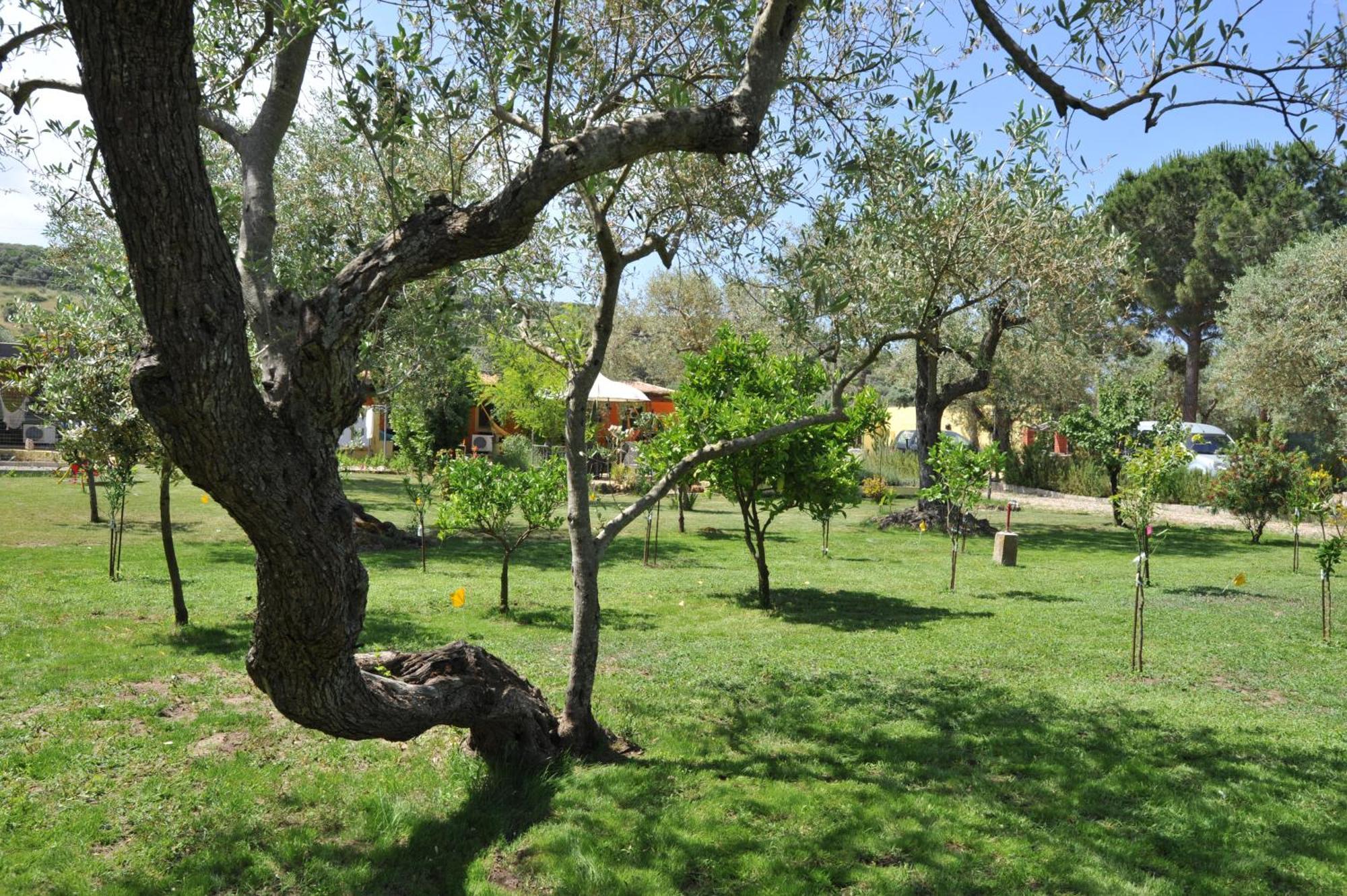 Butterfly House Bed & Breakfast Alghero Exterior photo