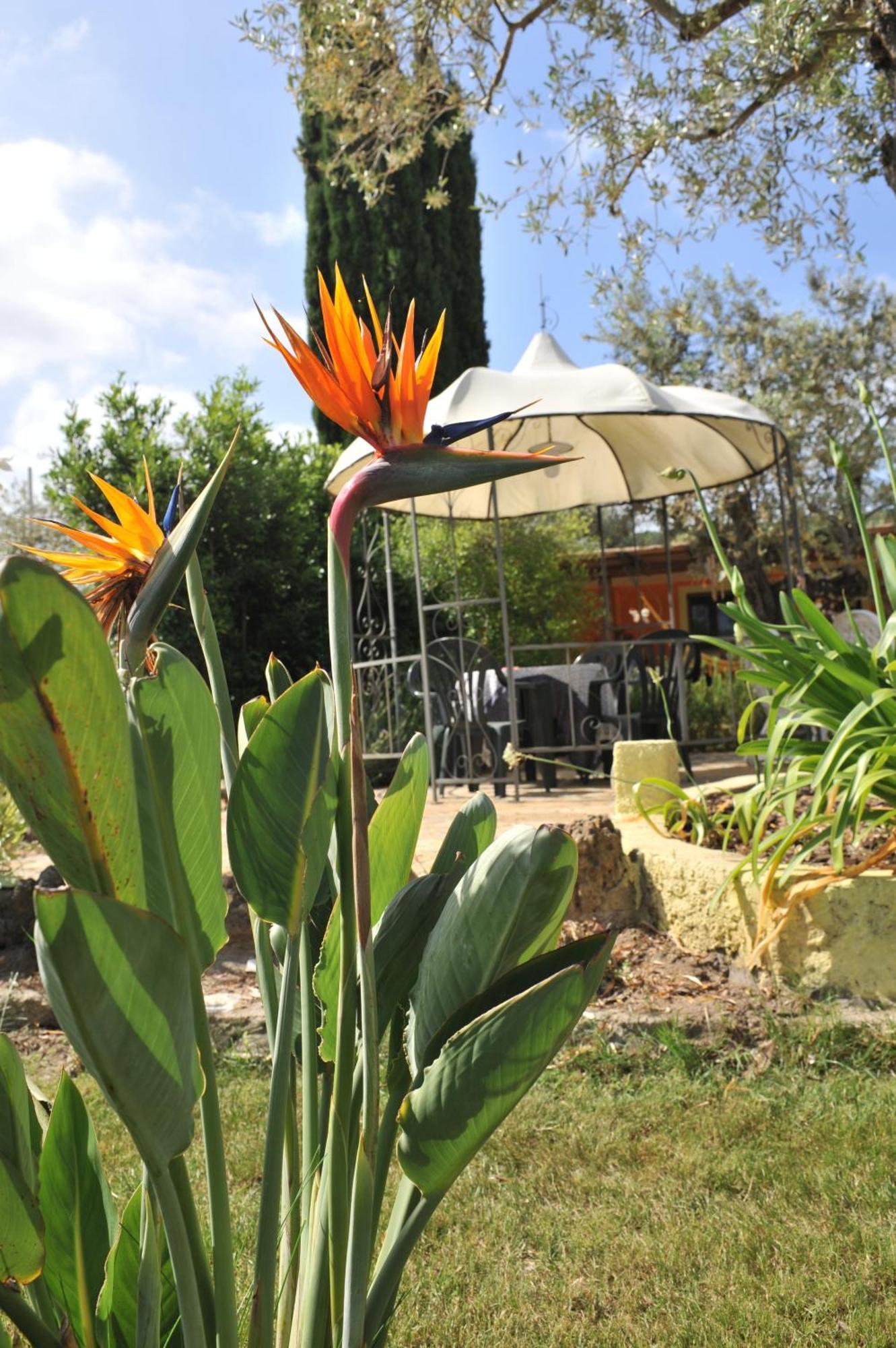 Butterfly House Bed & Breakfast Alghero Exterior photo